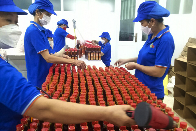 Trường Đại học Nha Trang: Sản xuất nhiều thực phẩm sạch